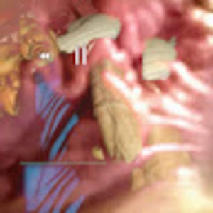 Meet your Posher, Tim